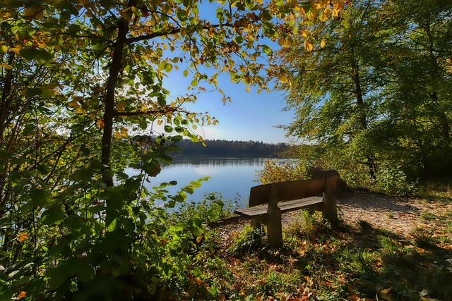 或许会成为 或许会成为