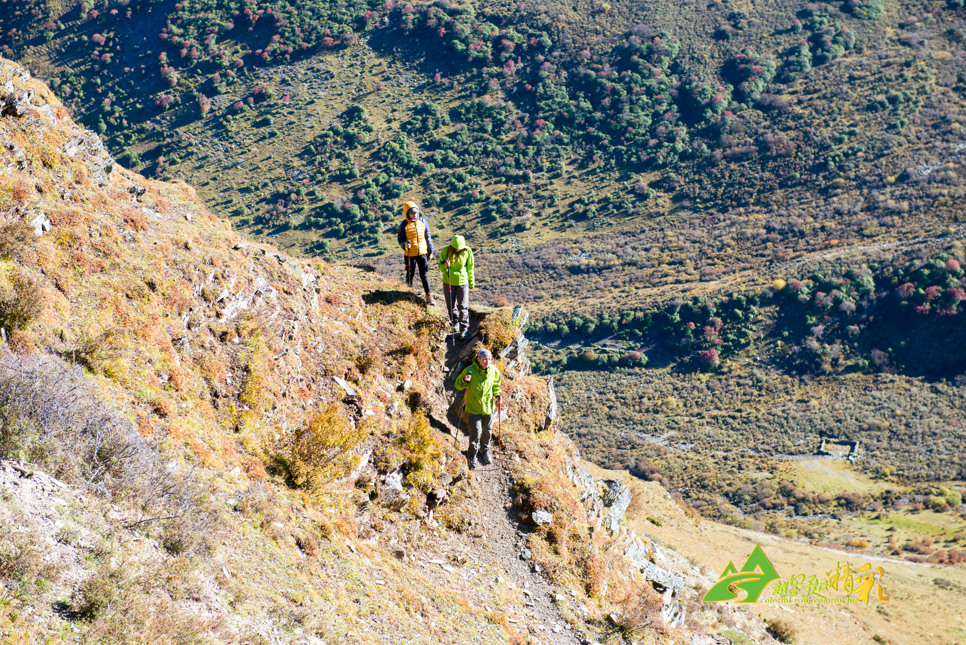 以及与全北 以及与全北