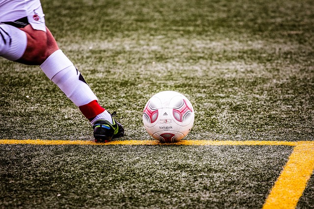 大优势的重 大优势的重