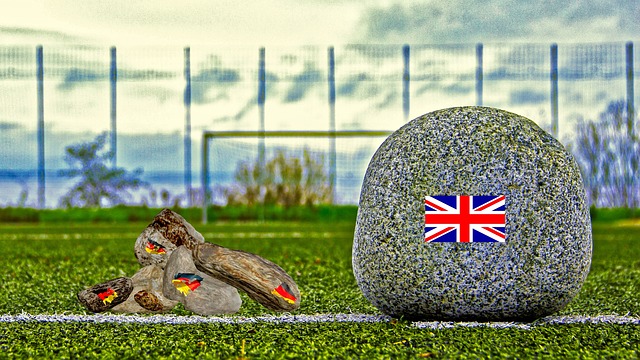 裁判员的专 裁判员的专