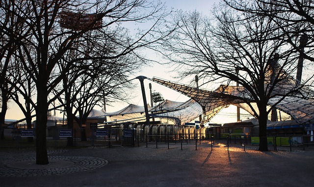 比賽的高強 比賽的高強