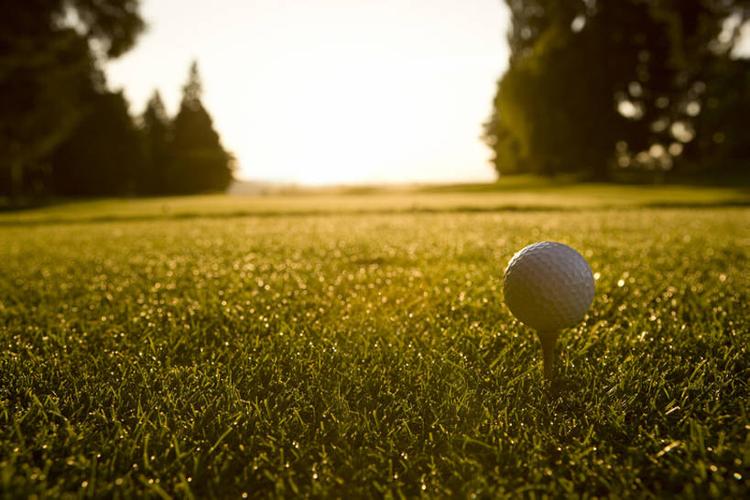 利用经验和 利用经验和