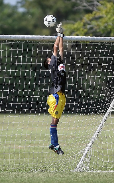 在本月的 在本月的